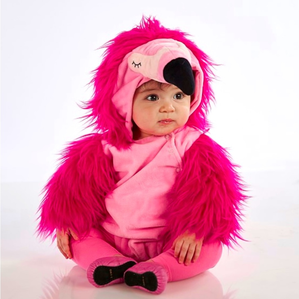 Pottery barn baby flamingo Halloween costume